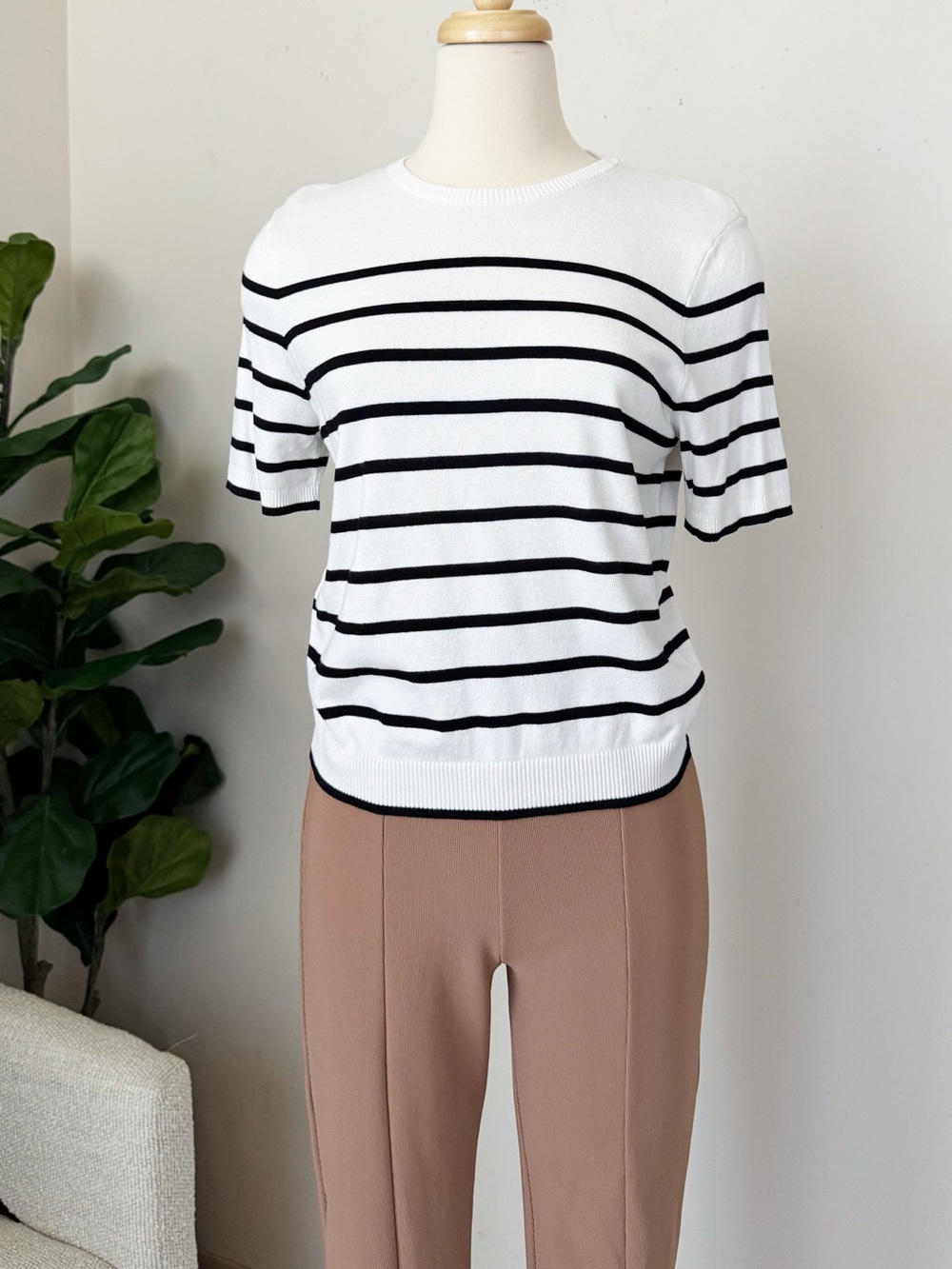 Divided White Short Sleeve Top with Black Stripes